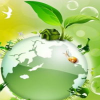 PowerPoint Khoa học tự nhiên 6: Bài tập Chủ đề 3 và 4