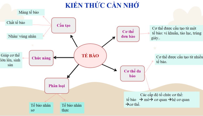 PowerPoint Khoa học tự nhiên 6 Bài tập Chủ đề 7