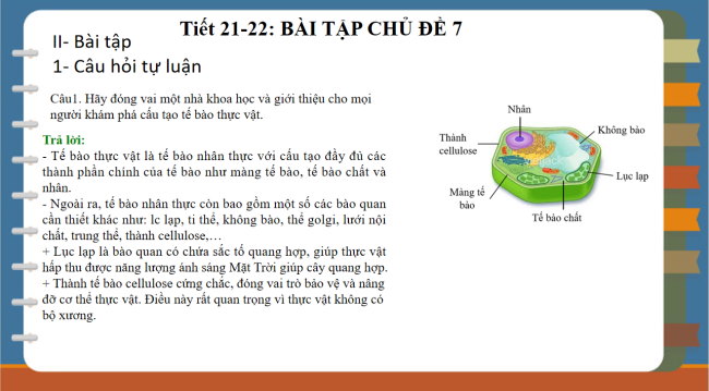 PowerPoint Khoa học tự nhiên 6 Bài tập Chủ đề 7