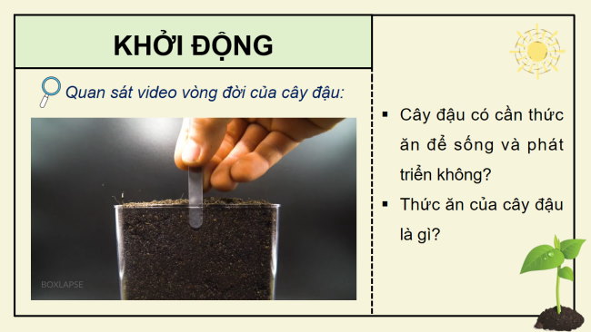 PowerPoint Khoa học 4 Bài 15: Thực vật cần gì để sống và phát triển