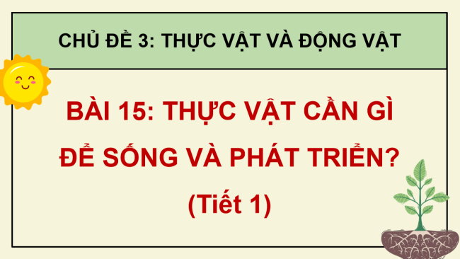 PowerPoint Khoa học 4 Bài 15: Thực vật cần gì để sống và phát triển