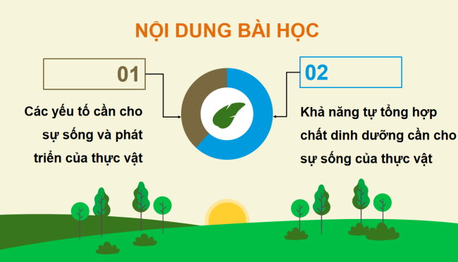 PowerPoint Khoa học 4 Bài 15: Thực vật cần gì để sống và phát triển
