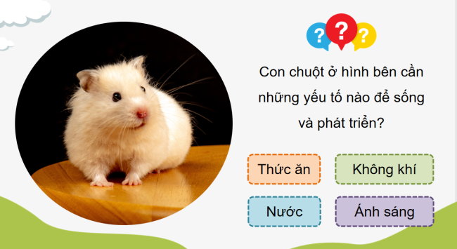 PowerPoint Khoa học 4 Bài 16: Nhu cầu sống của động vật