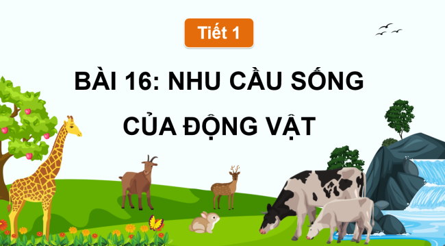 PowerPoint Khoa học 4 Bài 16: Nhu cầu sống của động vật