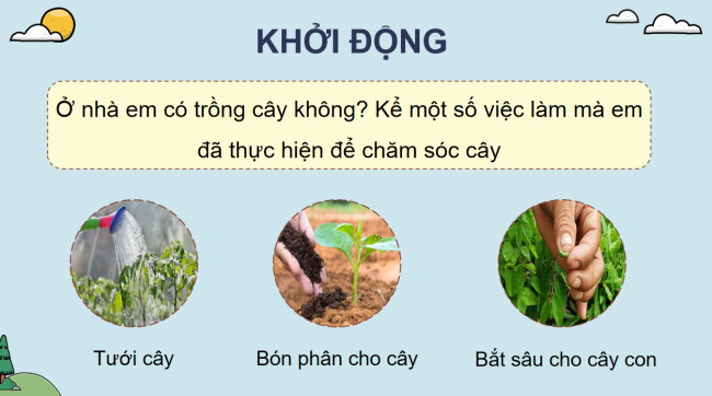PowerPoint Khoa học 4 Bài 17: Chăm sóc cây trồng và vật nuôi
