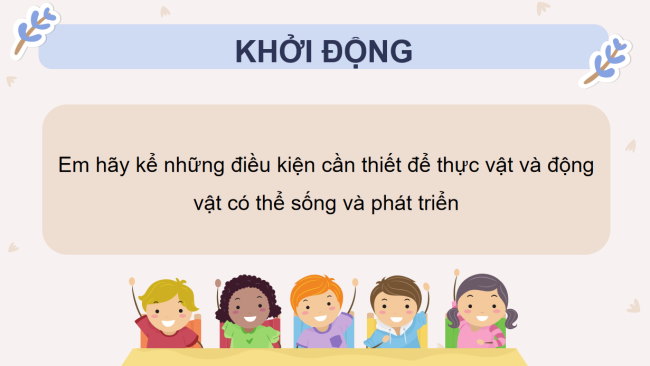PowerPoint Khoa học 4 Bài 18: Ôn tập chủ đề thực vật và động vật