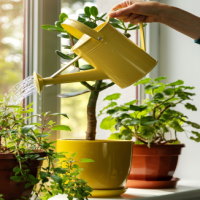 PowerPoint Khoa học 4 Bài 18: Ôn tập chủ đề thực vật và động vật