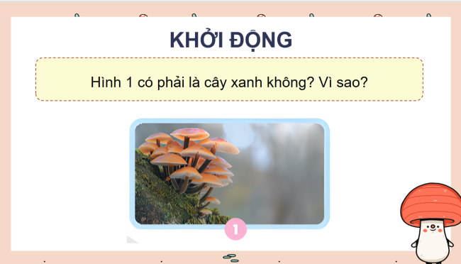 PowerPoint Khoa học 4 Bài 19: Sự đa dạng của nấm