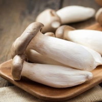 PowerPoint Khoa học 4 Bài 19: Sự đa dạng của nấm