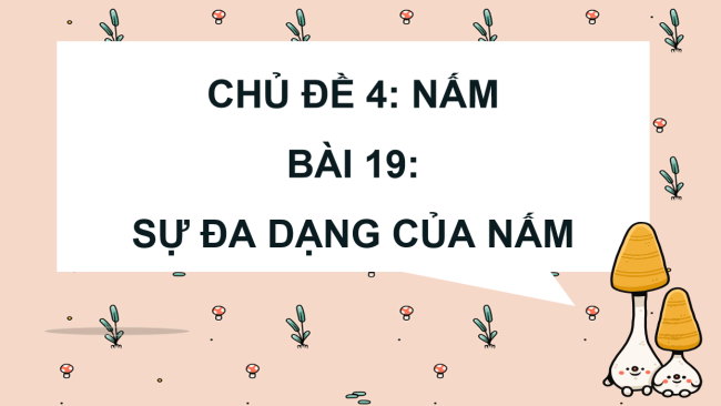 PowerPoint Khoa học 4 Bài 19: Sự đa dạng của nấm