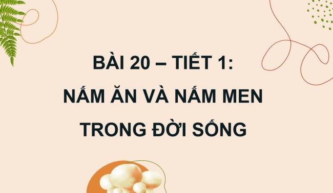 PowerPoint Khoa học 4 Bài 20: Nấm ăn và nấm men trong đời sống