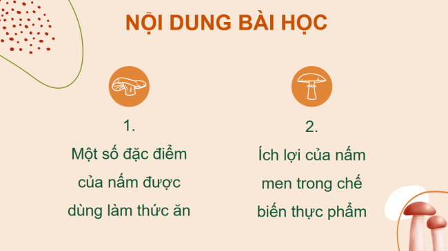 PowerPoint Khoa học 4 Bài 20: Nấm ăn và nấm men trong đời sống
