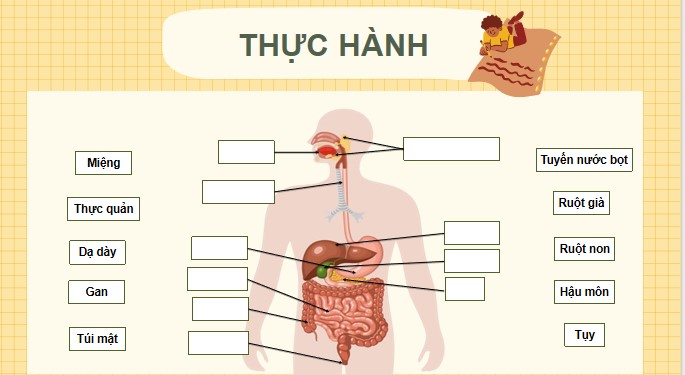 Tu nhien va xa hoi 3 KNTT bai 18 10*520464