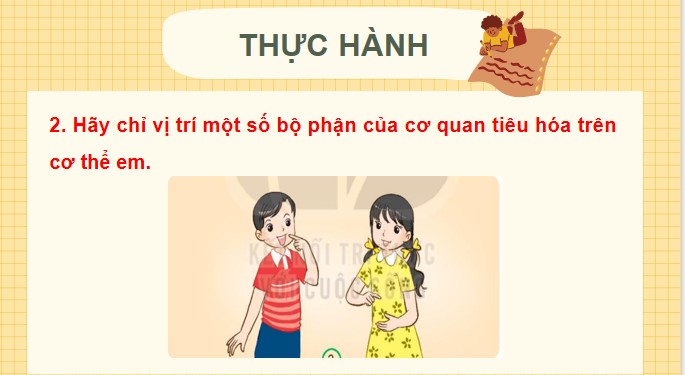 Tu nhien va xa hoi 3 KNTT bai 18 11*520465