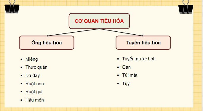 Tu nhien va xa hoi 3 KNTT bai 18 7*520462