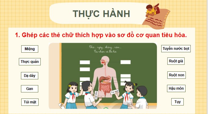 Tu nhien va xa hoi 3 KNTT bai 18 9*520463