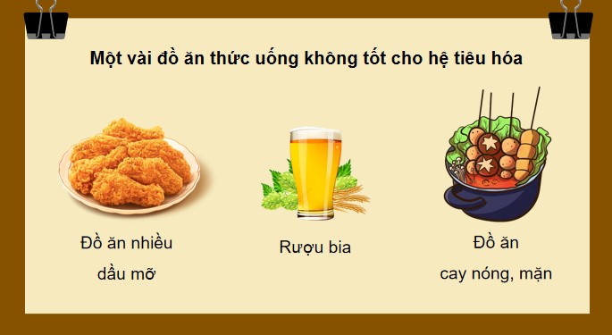 Tu nhien va xa hoi 3 KNTT bai 19 8*520468