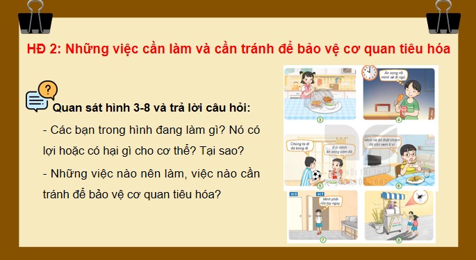 Tu nhien va xa hoi 3 KNTT bai 19 9*520471