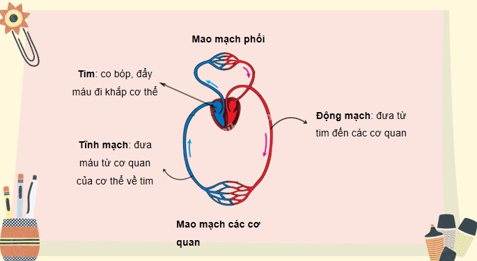 Tu nhien va xa hoi 3 KNTT bai 20 10*520477