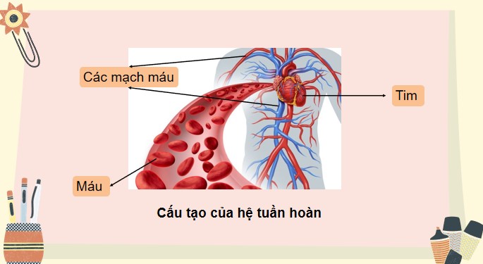 Tu nhien va xa hoi 3 KNTT bai 20 7*520474