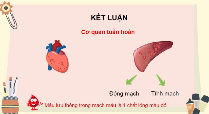 Tu nhien va xa hoi 3 KNTT bai 20 8*520473