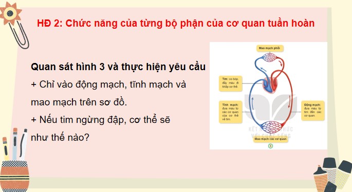 Tu nhien va xa hoi 3 KNTT bai 20 9*520475