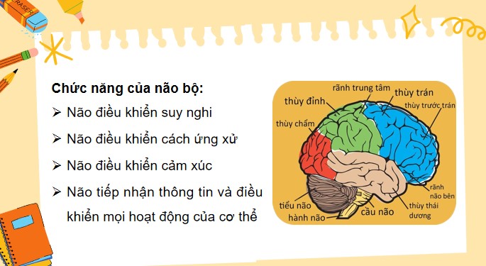 Tu nhien va xa hoi 3 KNTT bai 22 10*520565