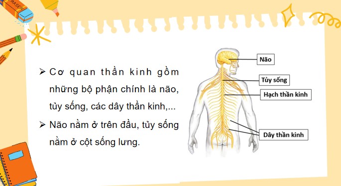 Tu nhien va xa hoi 3 KNTT bai 22 7*520561