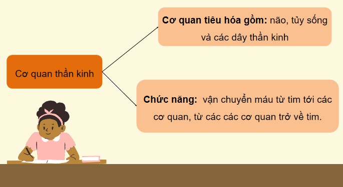 Tu nhien va xa hoi 3 KNTT bai 25 9*520630