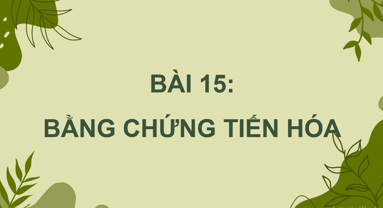 Powerpoint Sinh 12 Cánh Diều Bài 15