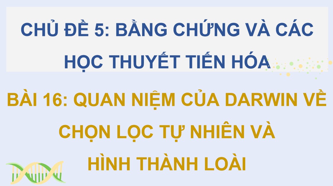 Powerpoint Sinh 12 Cánh Diều Bài 16