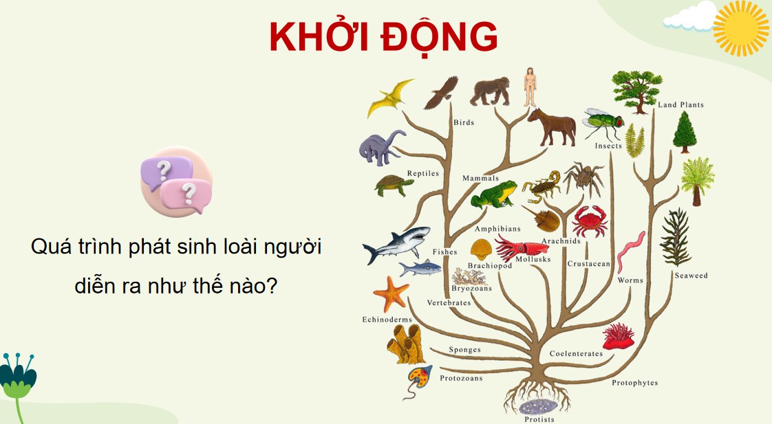 Powerpoint Sinh 12 Cánh Diều Bài 19