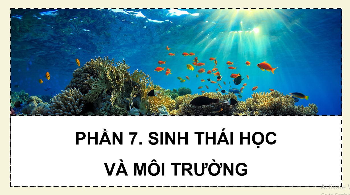 Powerpoint Sinh 12 Cánh Diều Bài 20