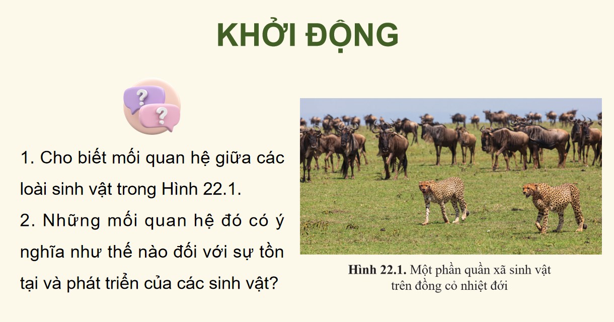 Powerpoint Sinh 12 Cánh Diều Bài 22