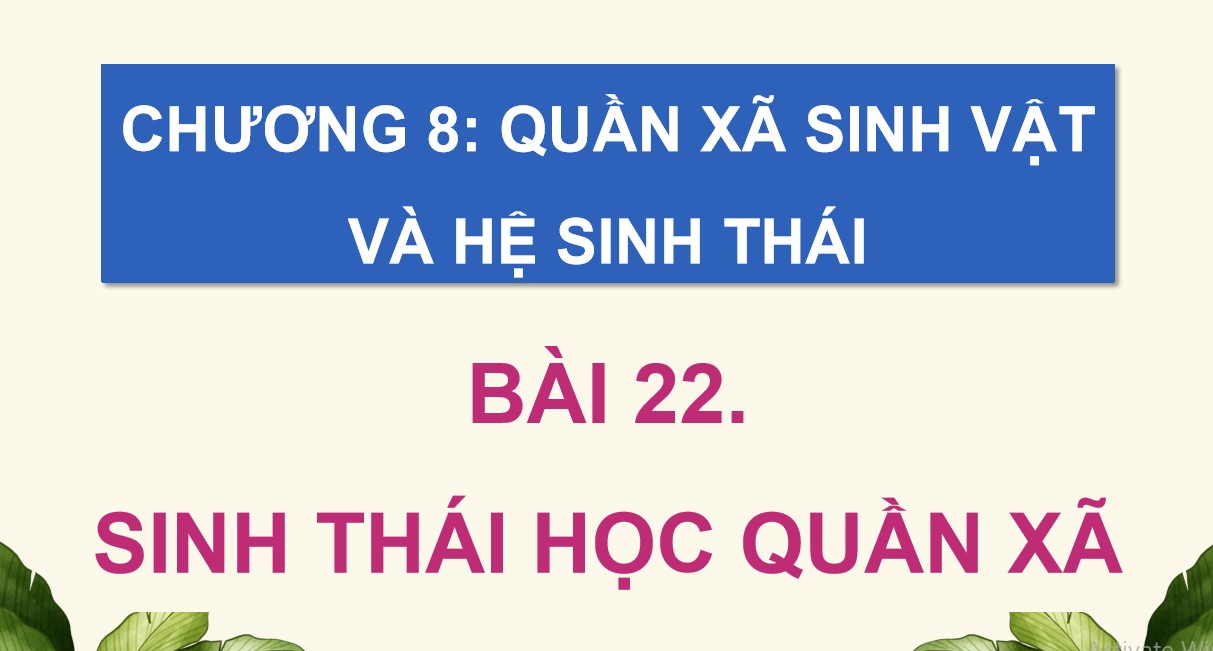 Powerpoint Sinh 12 Cánh Diều Bài 22