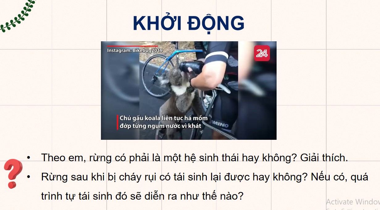 Powerpoint Sinh 12 Cánh Diều Bài 23