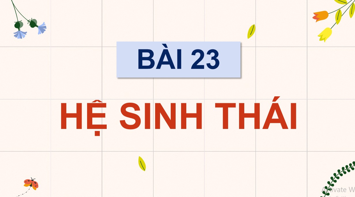 Powerpoint Sinh 12 Cánh Diều Bài 23