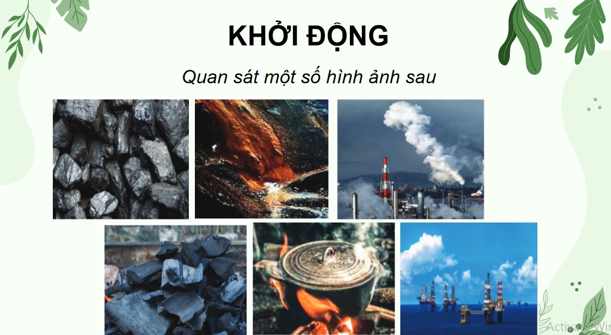 Powerpoint Sinh 12 Cánh Diều Bài 24