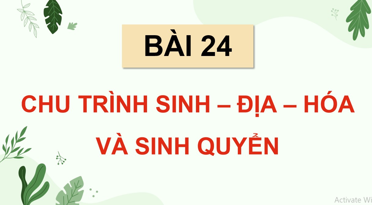 Powerpoint Sinh 12 Cánh Diều Bài 24