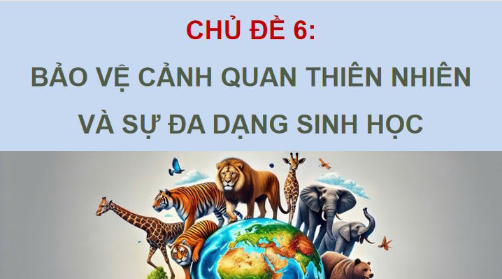 Bảo vệ cảnh quan thiên nhiên và sự đa dạng sinh học