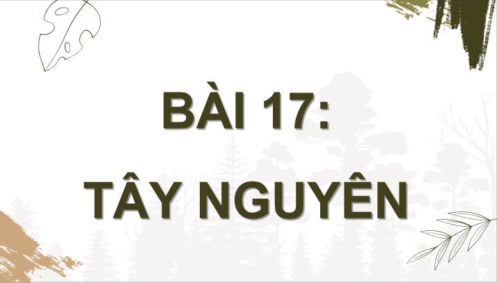 PowerPoint Địa lí 9 Bài 17