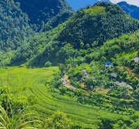 Giáo án Sinh hoạt lớp 7 Bảo tồn cảnh quan thiên nhiên tuần 28