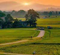 Giáo án Sinh hoạt lớp 7 Bảo tồn cảnh quan thiên nhiên tuần 29