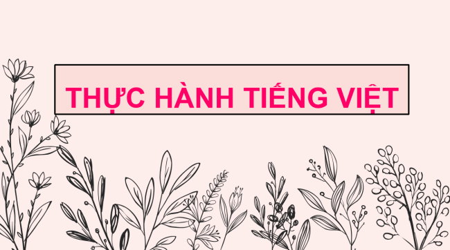 PowerPoint Ngữ văn 6 Bài 6: Thực hành tiếng Việt