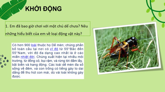 PowerPoint Ngữ văn 6 Bài 6: Bài học đường đời đầu tiên