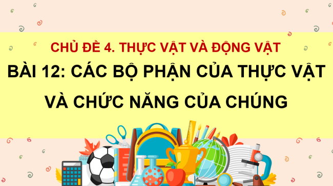 PowerPoint Tự nhiên và xã hội 3 Bài 12: Các bộ phận của thực vật và chức năng của chúng