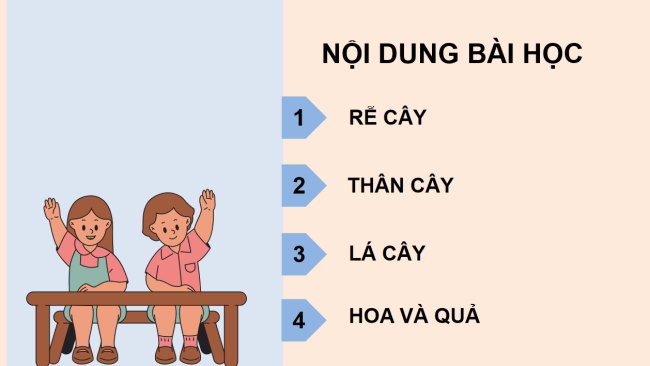 PowerPoint Tự nhiên và xã hội 3 Bài 12: Các bộ phận của thực vật và chức năng của chúng