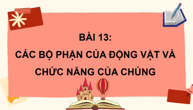 PowerPoint Tự nhiên và xã hội 3 Bài 13: Các bộ phận của động vật và chức năng của chúng