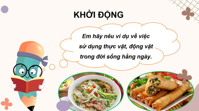 PowerPoint Tự nhiên và xã hội 3 Bài 14: Sử dụng hợp lí thực vật và động vật