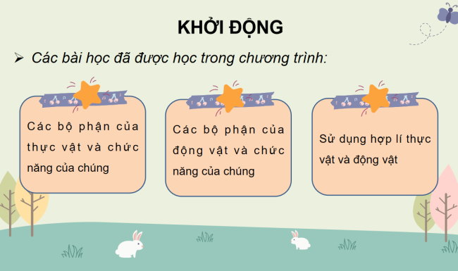 PowerPoint Tự nhiên và xã hội 3 Ôn tập Chủ đề thực vật và động vật